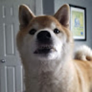 Meet your Posher, Ben